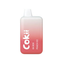 COKII BAR 6K BOX Disposable Vape Device 6000 Puffs